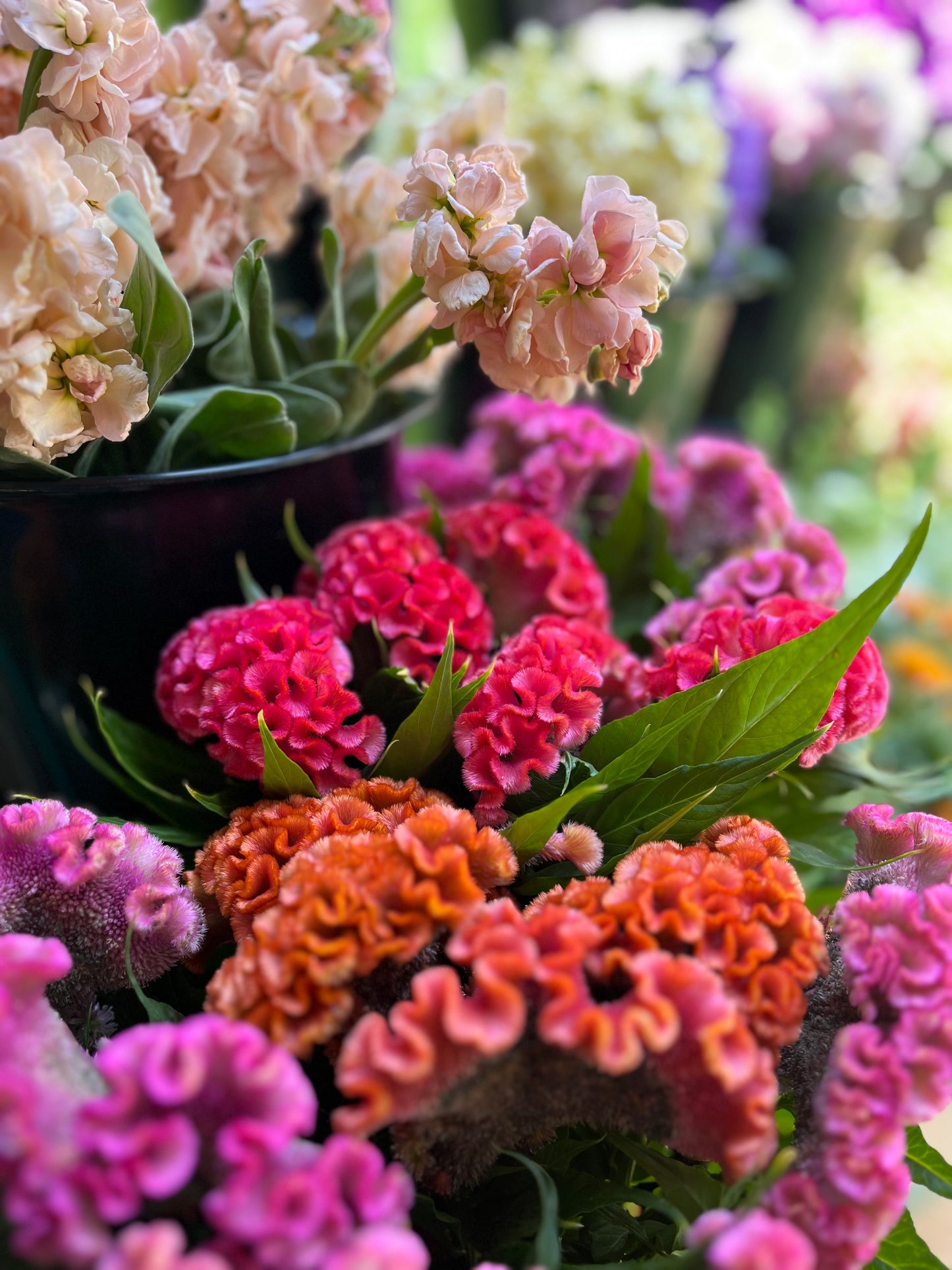 Fall Bouquet