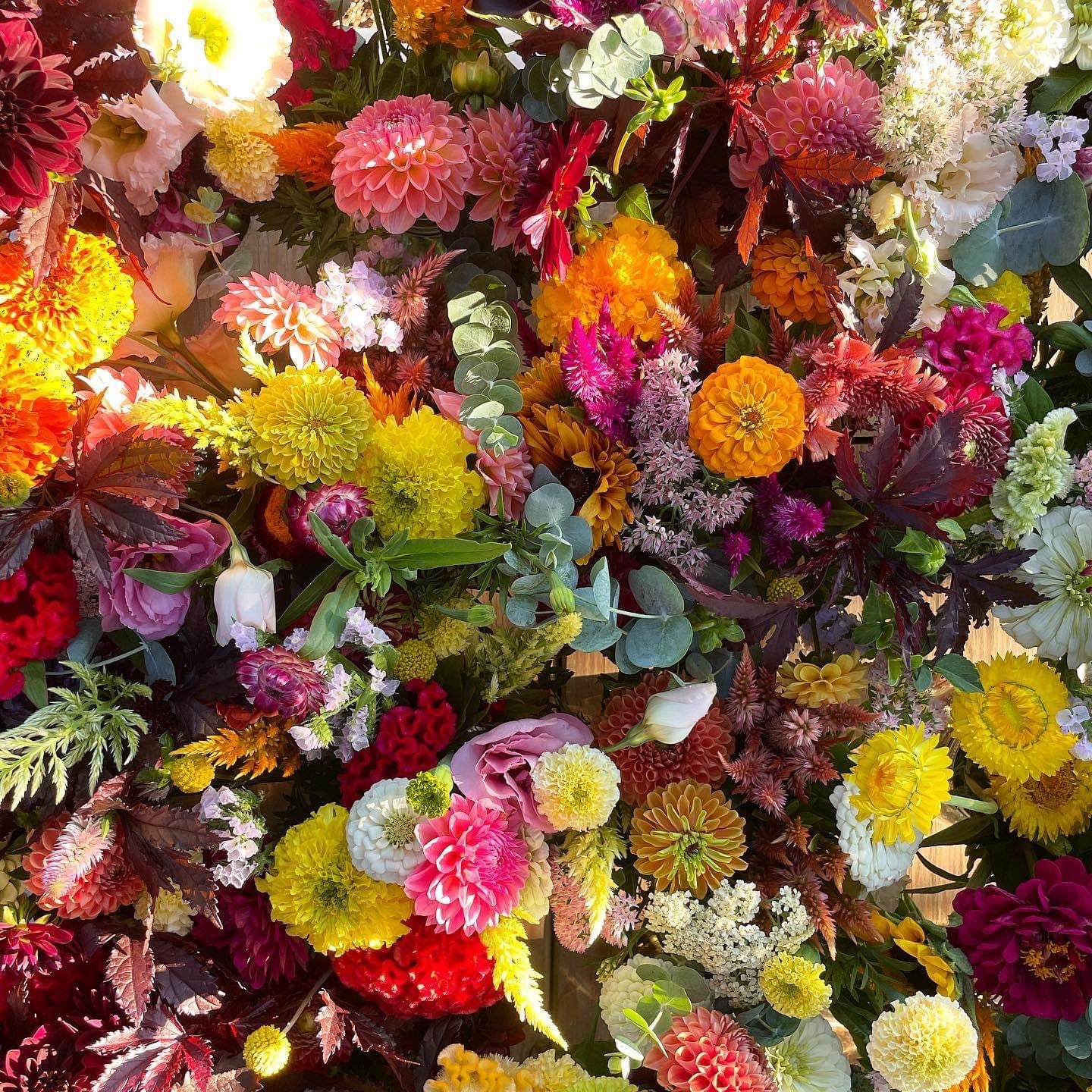 2025 Seasonal CSA