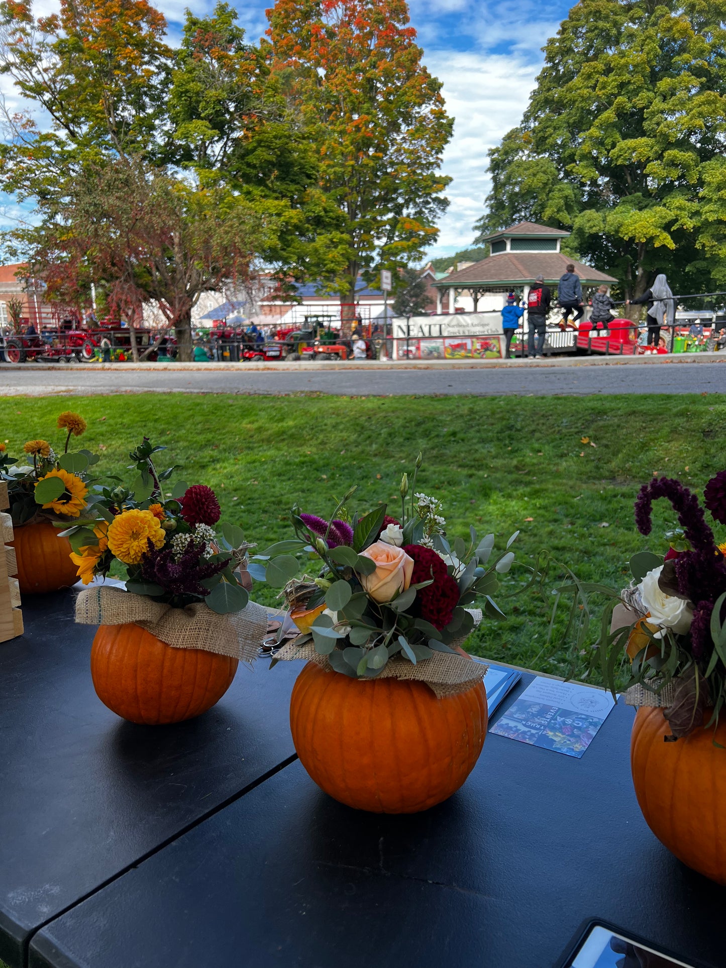 Pumpkin Workshop