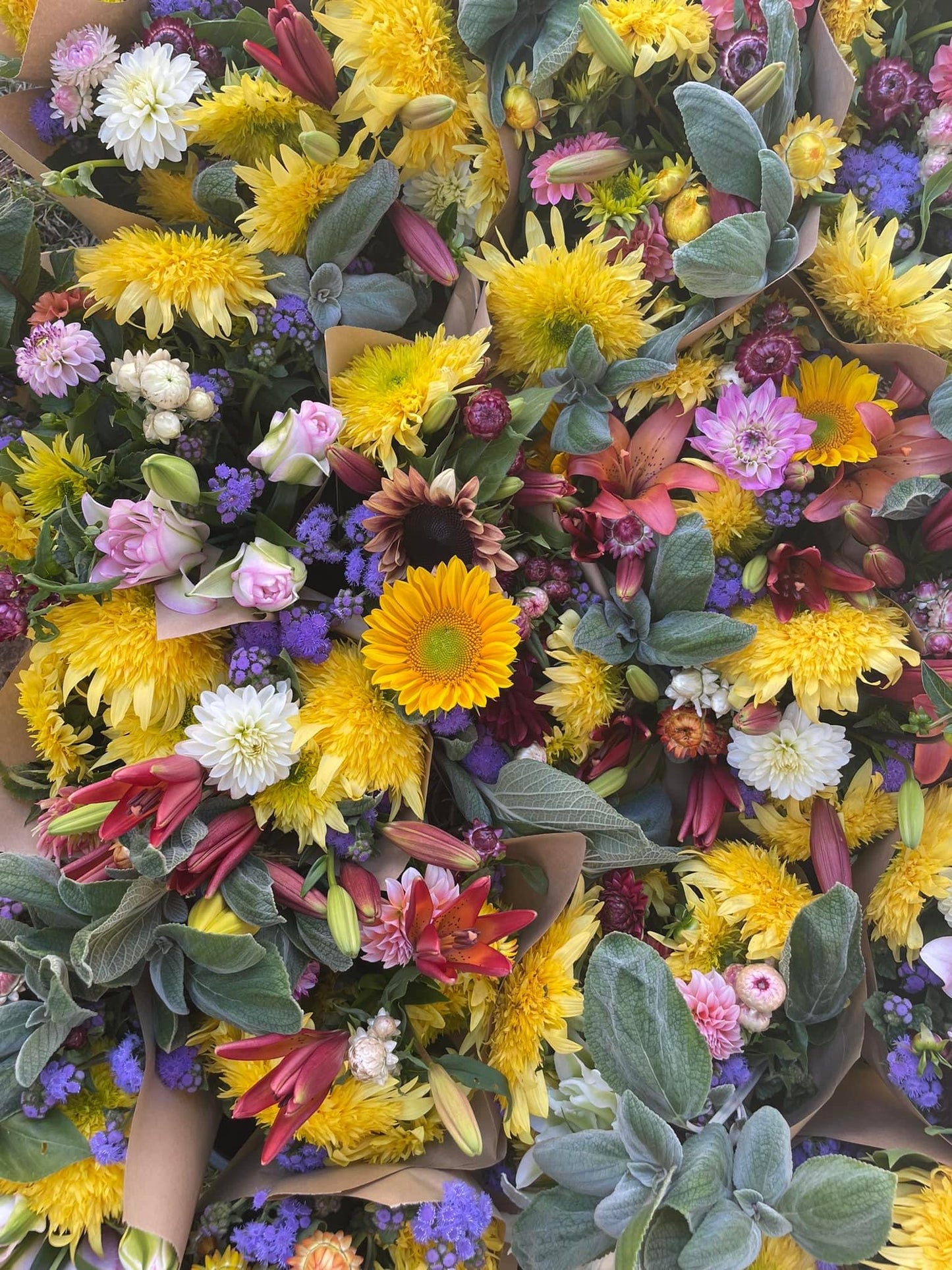 2025 Seasonal CSA