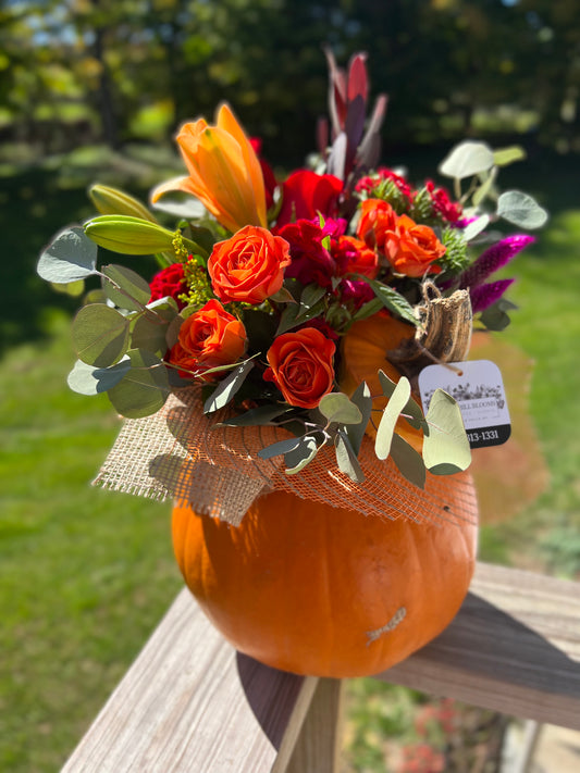 Pumpkin Arrangement